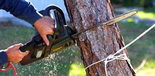 Mulching Services in Forest Park, IL