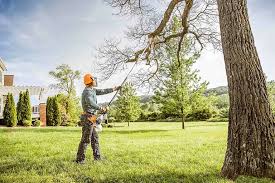Best Lawn Drainage Solutions  in Forest Park, IL